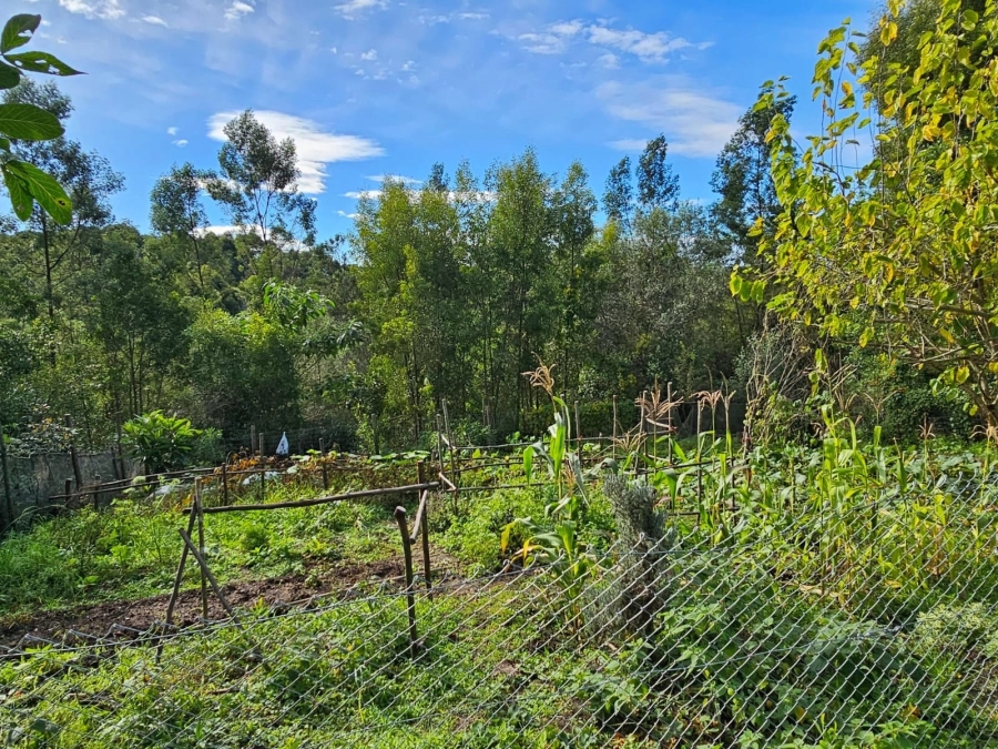 To Let 1 Bedroom Property for Rent in Hoekwil Western Cape